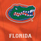 University of Florida Orange Jersey Galaxy Z Fold4 5G Skin